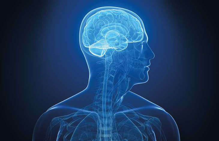 pornografia zmienia mózg